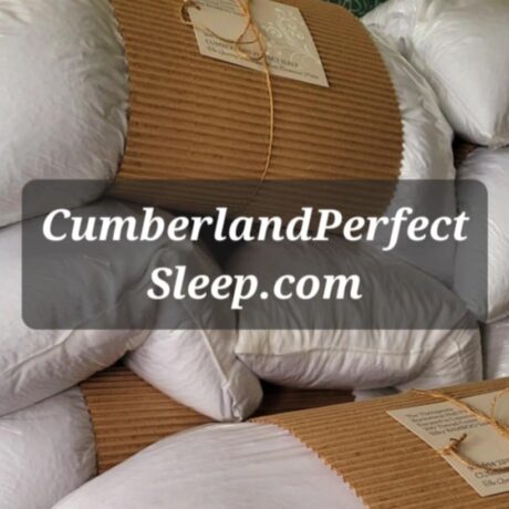 Buckwheat Hull Pillows